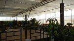 吉安兴桥苗圃基地