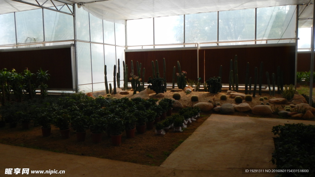 吉安兴桥苗圃基地