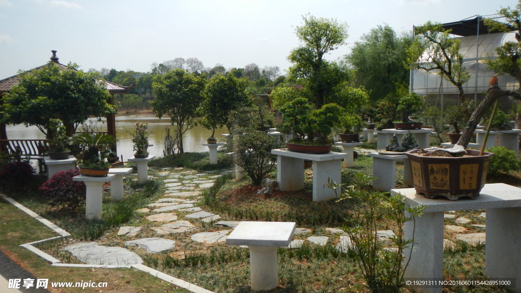 吉安兴桥苗圃基地