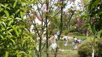 吉安兴桥苗圃基地