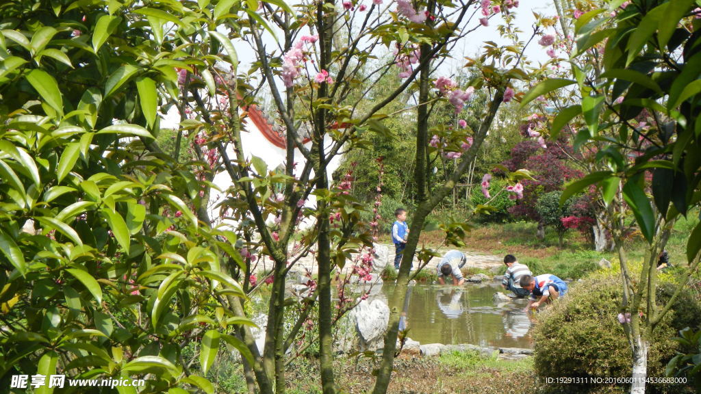 吉安兴桥苗圃基地