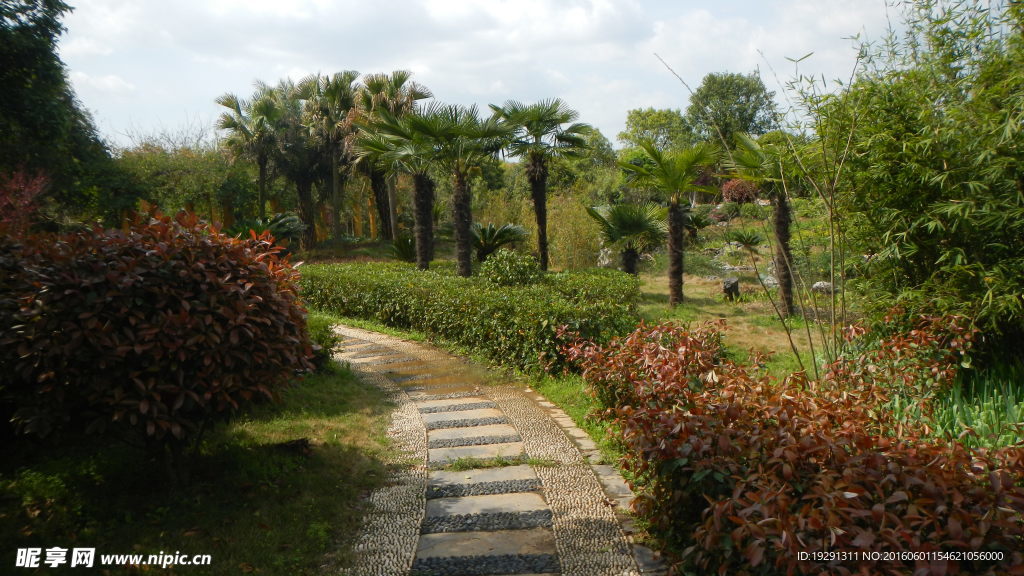 吉安兴桥苗圃基地