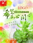 多肉植物海报