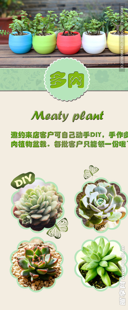 多肉植物海报