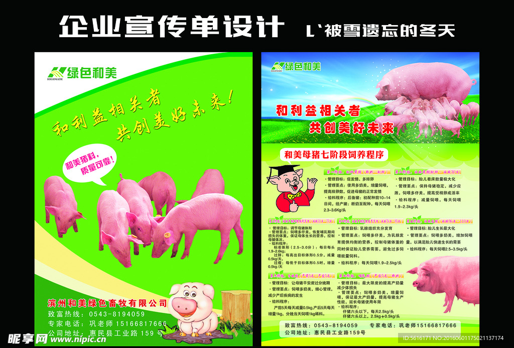 猪饲料宣传单