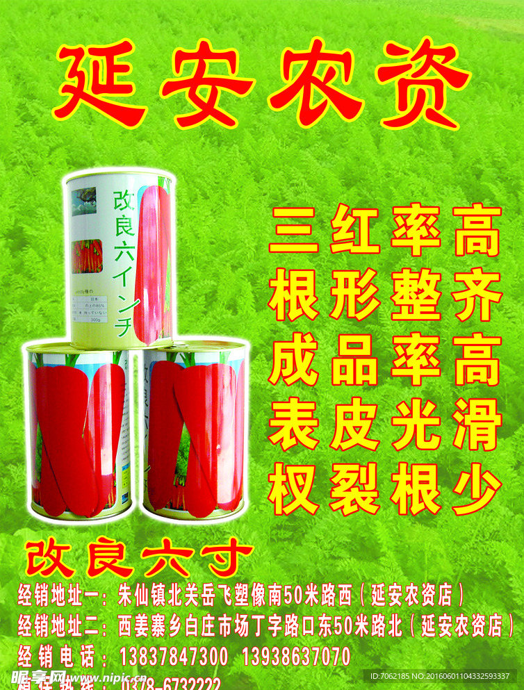 胡萝卜彩页