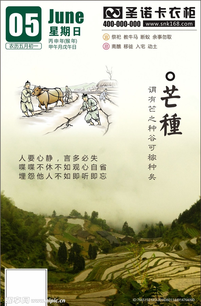 二十四节气芒种