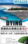 美丽的大堡礁