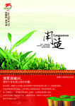 龙园号普洱茶广告