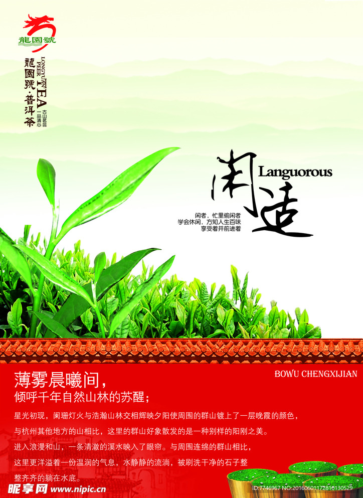 龙园号普洱茶广告