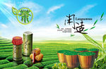 茶叶宣传海报