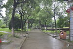 公园  小路