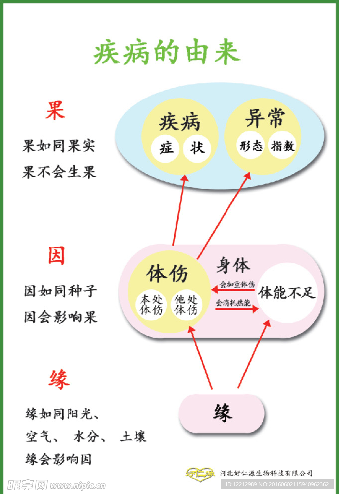 疾病的由来