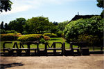 山君不离