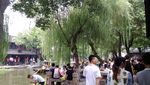 西塘