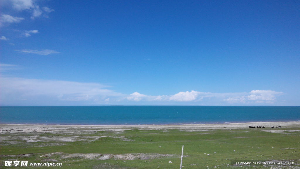 青海