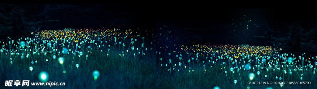 夜景
