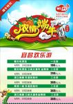 浓情端午