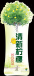 柠檬饮料异形标