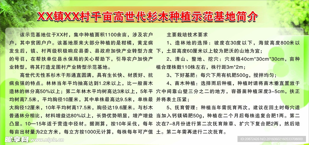 高世代杉木种植示范基地简介