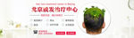 脱发banner