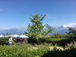 大山风景