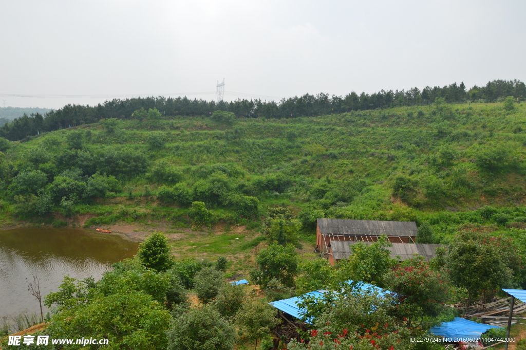 生态自然风景