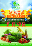 蔬菜海报
