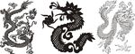 龙