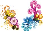 绚丽花纹