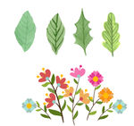 手绘树叶 卡通花朵