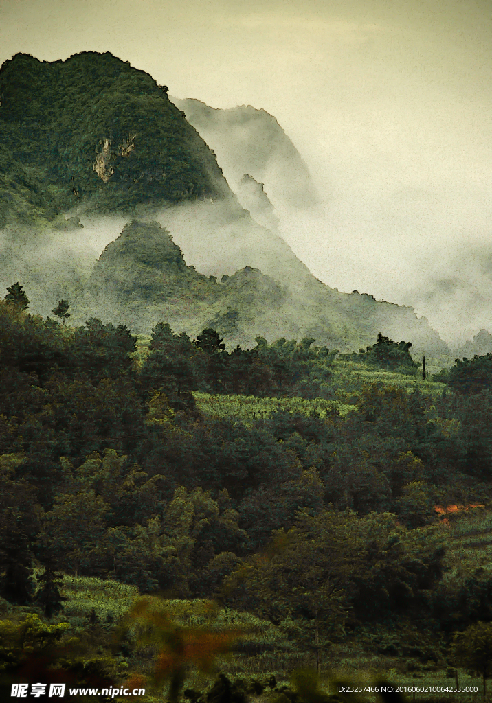 山雨图