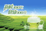 茶海报