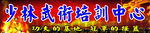 少林武术培训中心门头