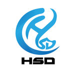 HSD企业LOGO