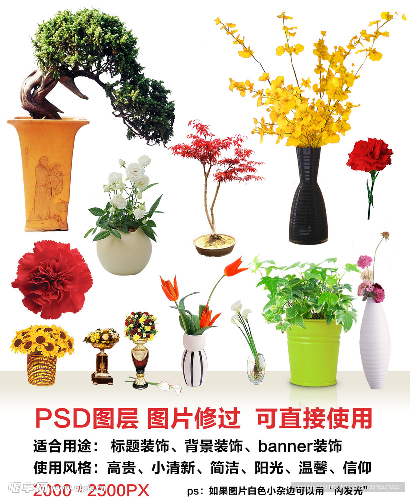 盆栽 花盆