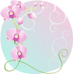 精美花纹底纹