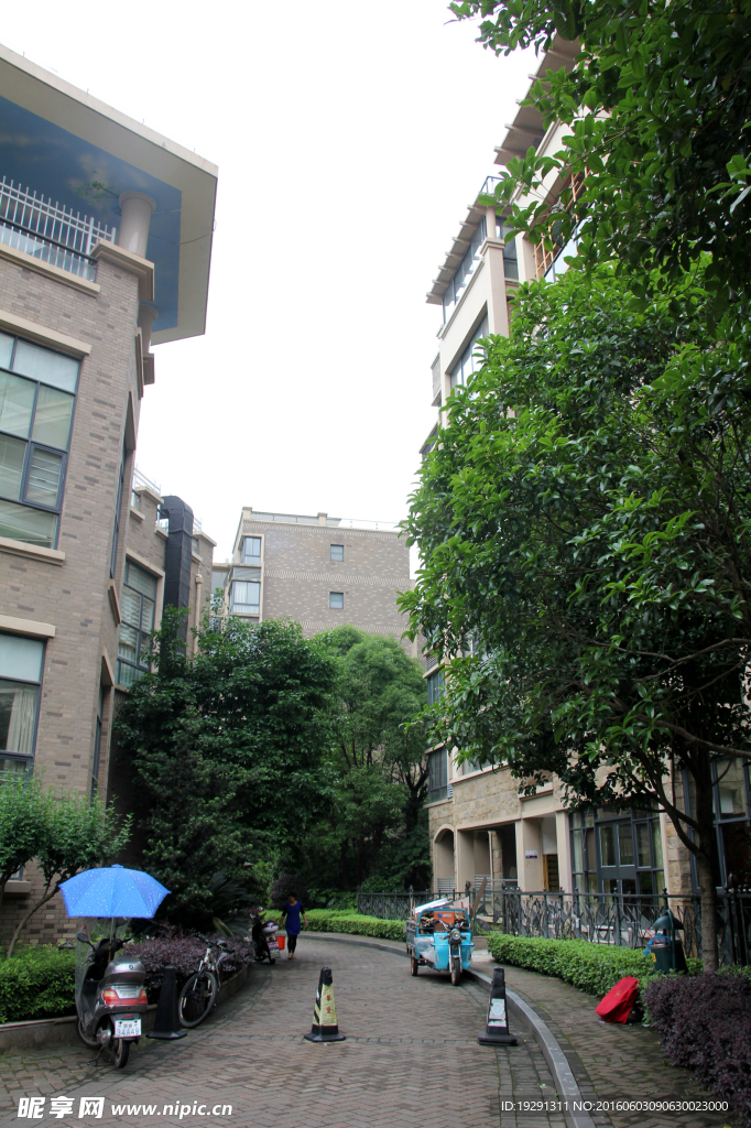 吉安桃缘盛景小区绿化