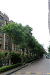 吉安桃缘盛景小区绿化
