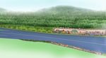 道路园林设计