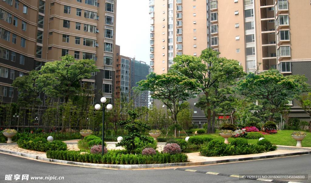 鼎鑫花园绿化