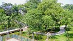 永新县葛溪河公园