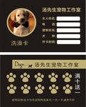 宠物店洗澡卡