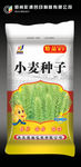 小麦种子