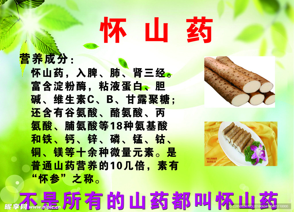 金健康怀山药