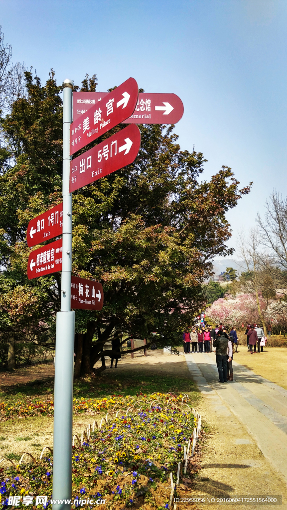 南京梅花谷路标