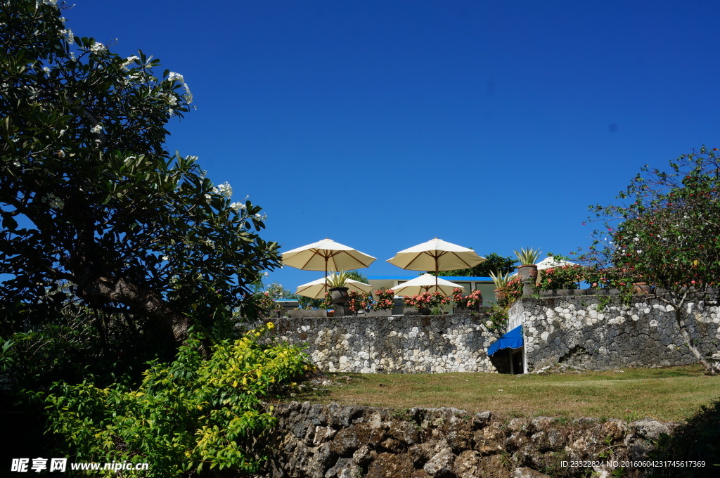 巴厘岛  蓝点下午茶房