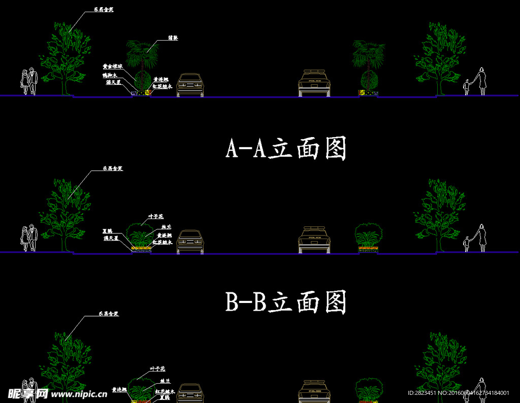 市区某道路的绿化改造方案