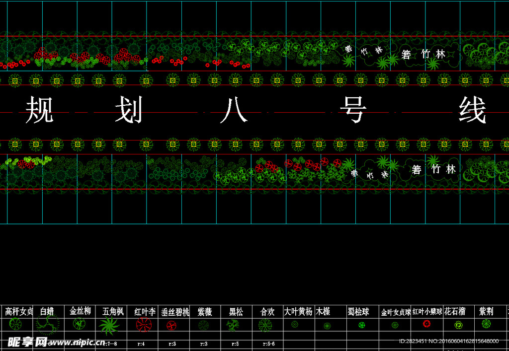 绿化带标准段 景观绿化铺装图