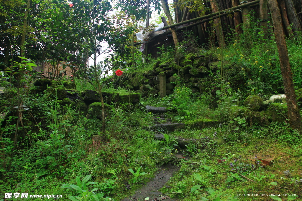 山林小屋